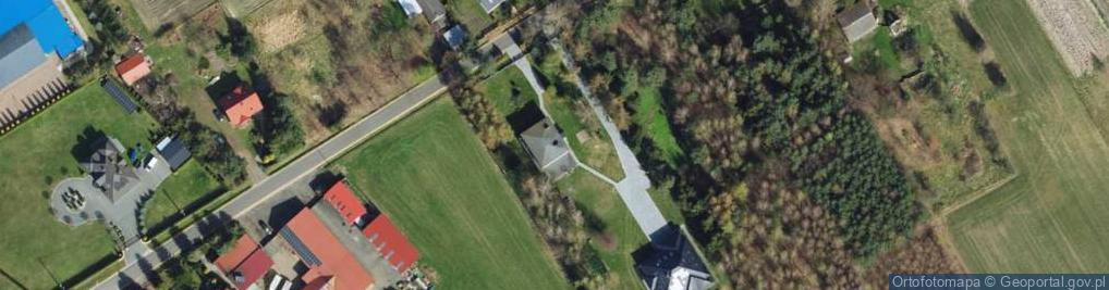 Zdjęcie satelitarne Handel Obwoźny