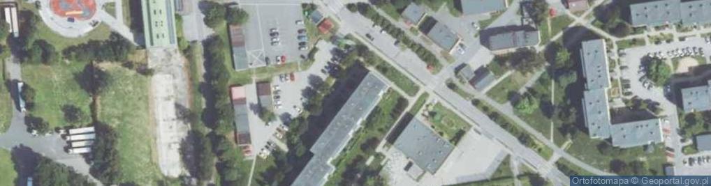 Zdjęcie satelitarne Handel Obwoźny