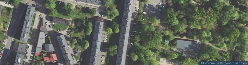 Zdjęcie satelitarne Handel Obwoźny