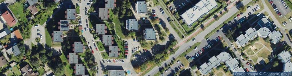Zdjęcie satelitarne Handel Obwoźny