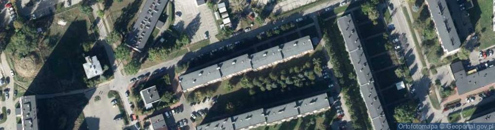 Zdjęcie satelitarne Handel Obwoźny