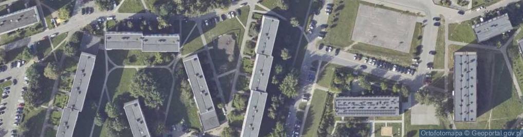 Zdjęcie satelitarne Handel Obwoźny