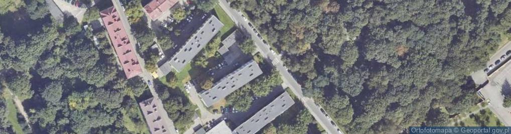 Zdjęcie satelitarne Handel Obwoźny