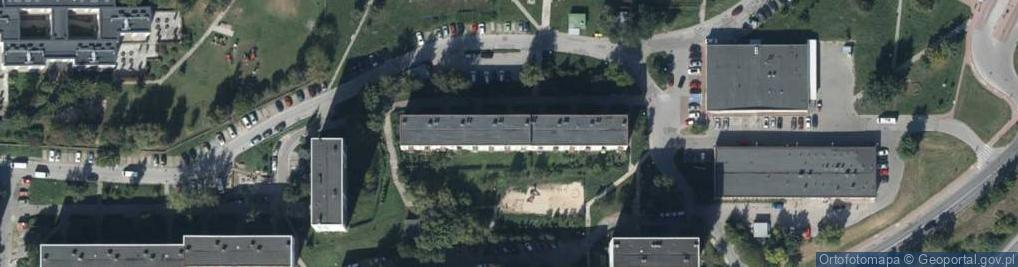 Zdjęcie satelitarne Handel Obwoźny