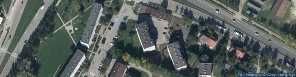 Zdjęcie satelitarne Handel Obwoźny