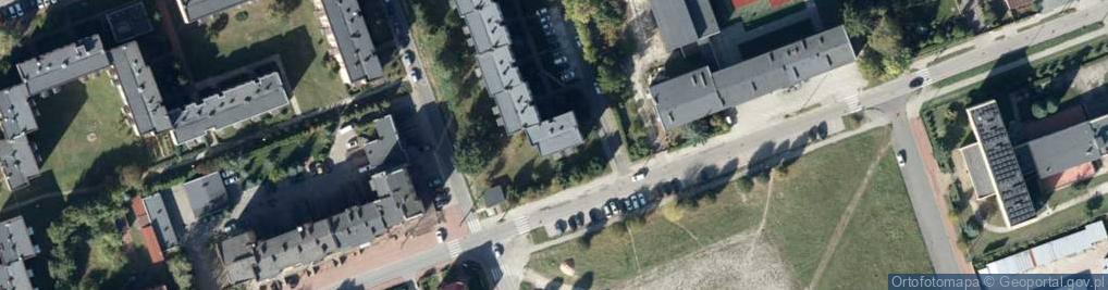 Zdjęcie satelitarne Handel Obwoźny