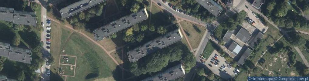 Zdjęcie satelitarne Handel Okrężny