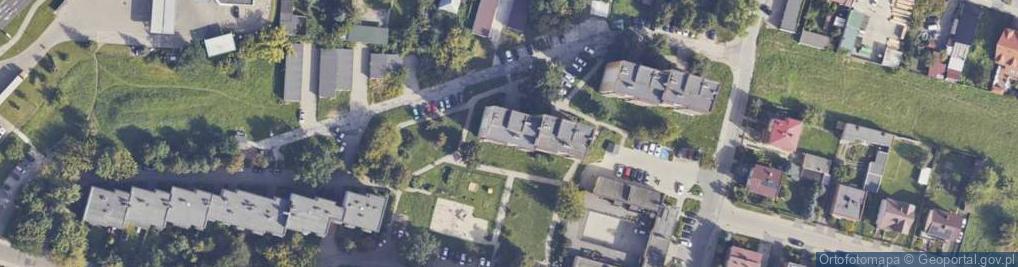 Zdjęcie satelitarne Handel Okrężny