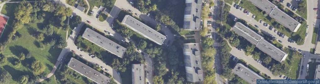 Zdjęcie satelitarne Handel Okrężny