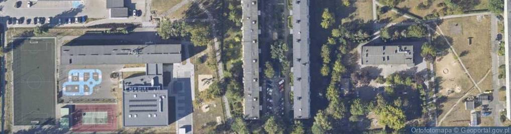 Zdjęcie satelitarne Handel Prim