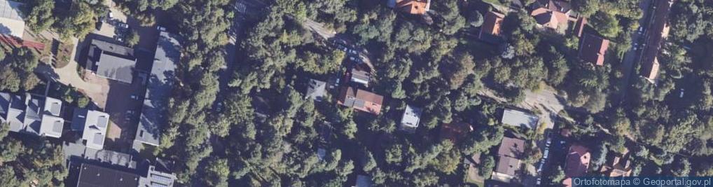 Zdjęcie satelitarne Handel