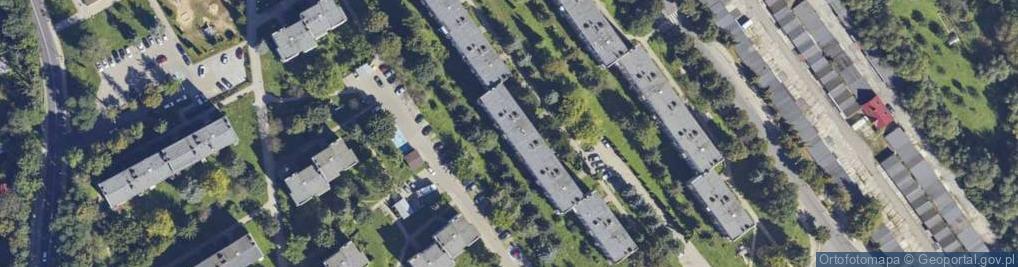 Zdjęcie satelitarne Handel