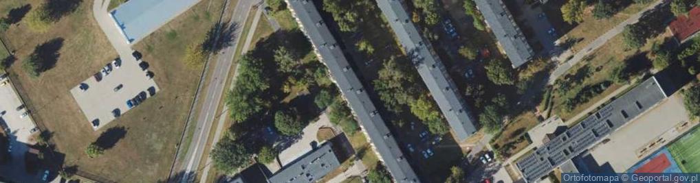 Zdjęcie satelitarne Handel