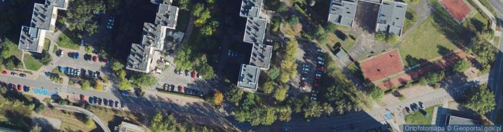 Zdjęcie satelitarne Handel