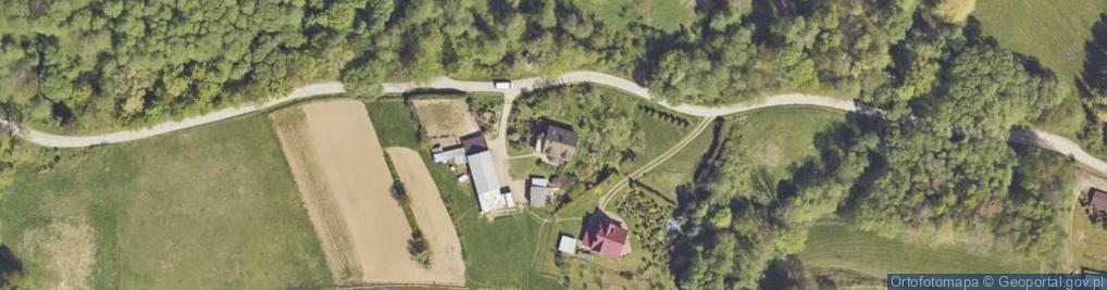 Zdjęcie satelitarne Helena Bieryło