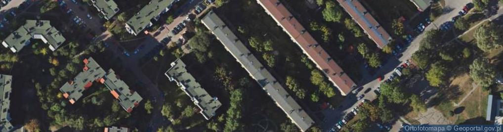 Zdjęcie satelitarne Helena Borko