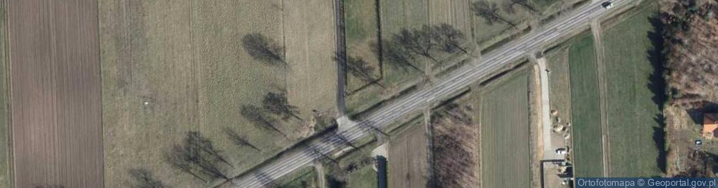 Zdjęcie satelitarne Henio