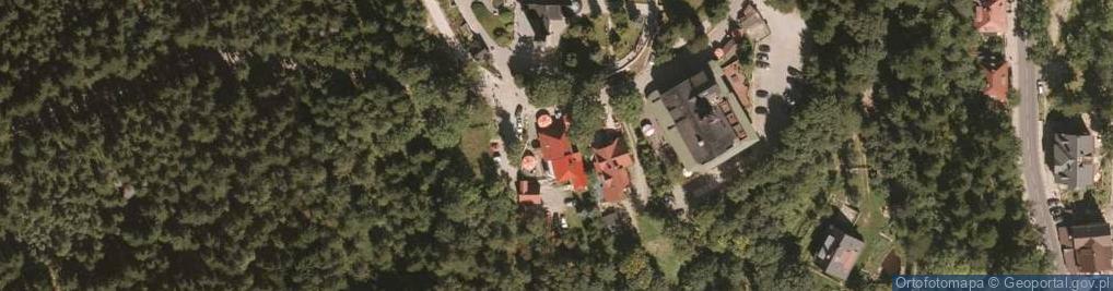 Zdjęcie satelitarne Henryk Michalski