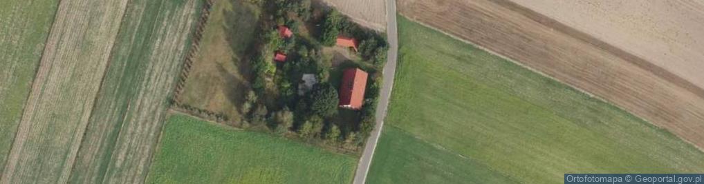 Zdjęcie satelitarne Henryk Pliszczyński - Działalność Gospodarcza