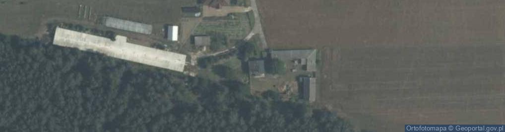 Zdjęcie satelitarne Hodowla Drobiu Kościecha Jadwiga