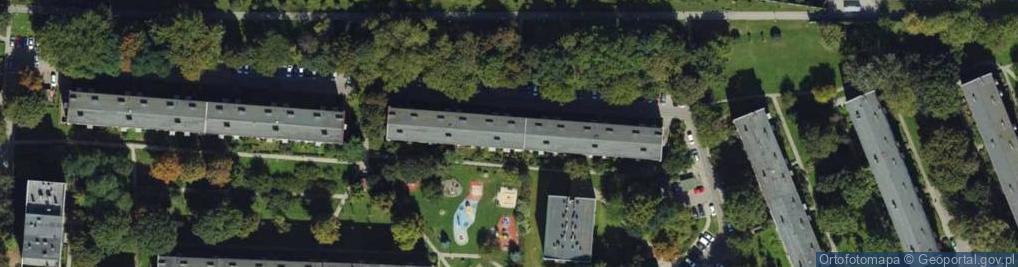 Zdjęcie satelitarne Hogan