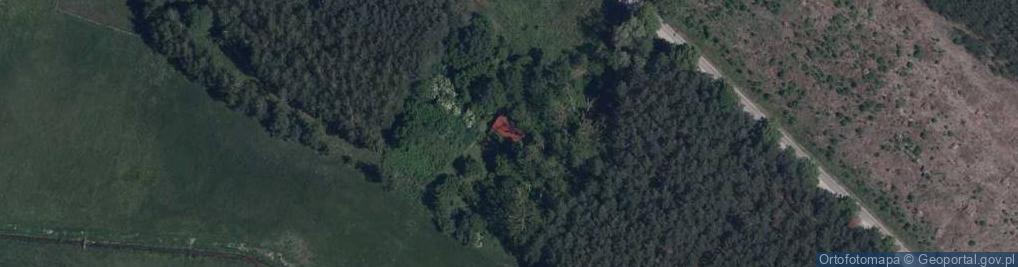 Zdjęcie satelitarne Horyzont