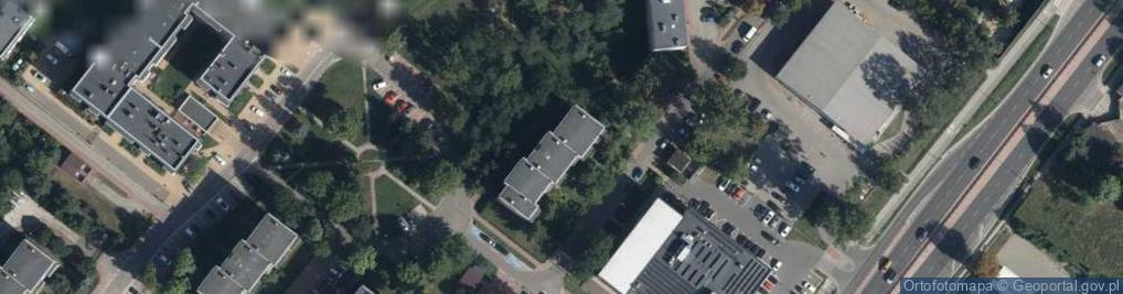 Zdjęcie satelitarne Horyzont