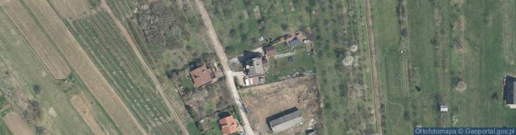 Zdjęcie satelitarne Ideatree Joanna Osińska