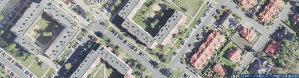 Zdjęcie satelitarne Iga Leszno