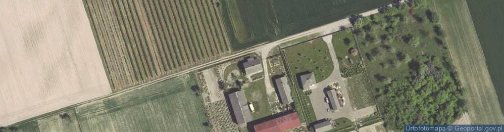 Zdjęcie satelitarne IGLACZEK Gospodarstwo Szkółkarskie Drzew iglastych