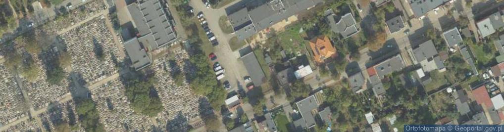 Zdjęcie satelitarne Ikona Małgorzata Katarzyna Krzyżanowska-Witkowska