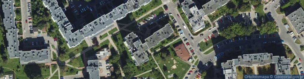 Zdjęcie satelitarne Indygo Małgorzata Cygan Rafał Cygan