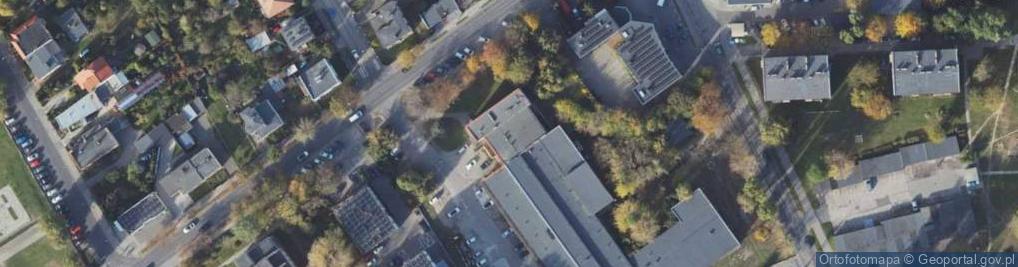 Zdjęcie satelitarne Ines