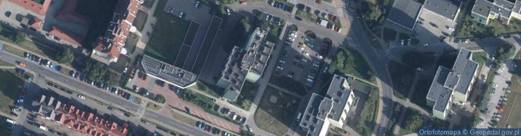 Zdjęcie satelitarne INEX