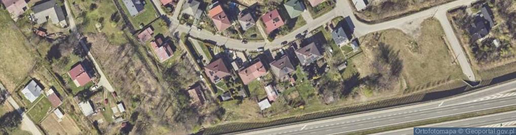 Zdjęcie satelitarne Intense Monika Bonowicz