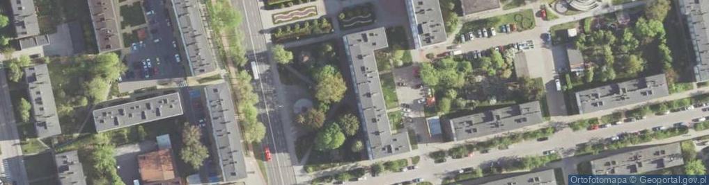 Zdjęcie satelitarne Interaktywna Dystrybucja