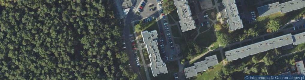 Zdjęcie satelitarne Irena Górska - Działalność Gospodarcza