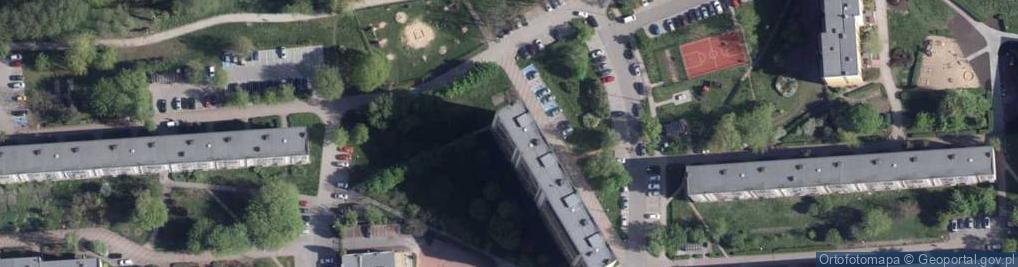 Zdjęcie satelitarne Ireneusz Wronkowski - Działalność Gospodarcza
