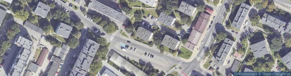 Zdjęcie satelitarne Irmina Sado - Działalność Gospodarcza