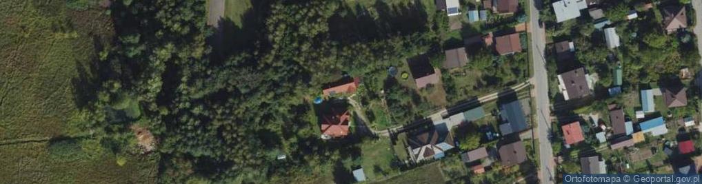 Zdjęcie satelitarne IServices Iwona Sienkiewicz