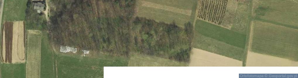 Zdjęcie satelitarne Itnet24 Marcin Wojna