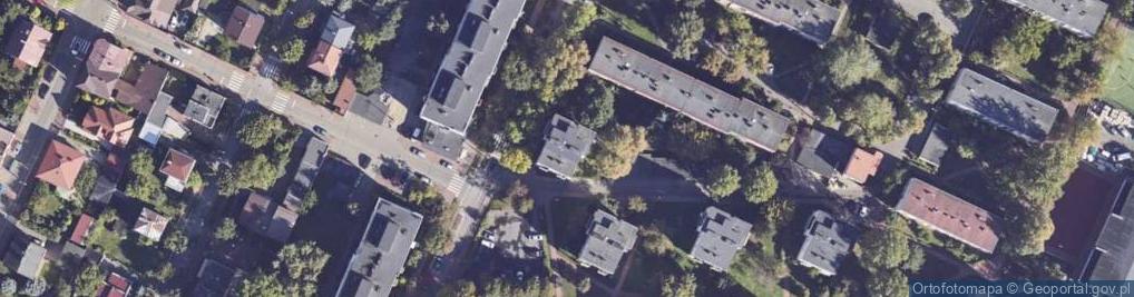 Zdjęcie satelitarne Iw Pol