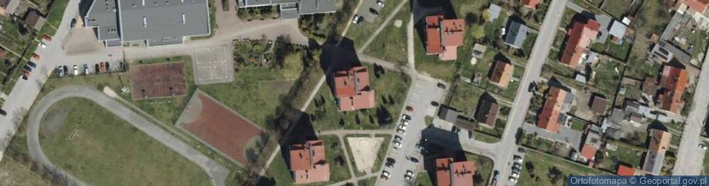Zdjęcie satelitarne Jadwiga Lubińska - Działalność Gospodarcza