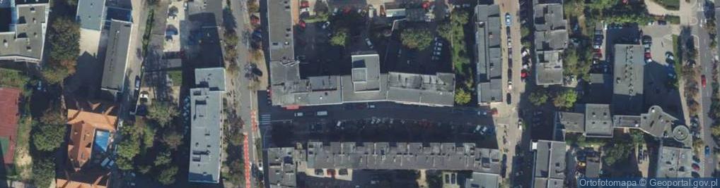 Zdjęcie satelitarne Janus Bis E Jażdżewska K Kawecka B Arendarska