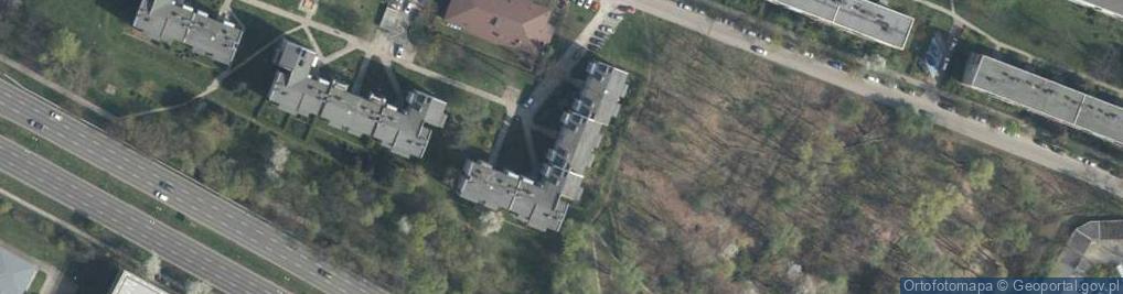 Zdjęcie satelitarne Jarbel Marcin Żarnowski