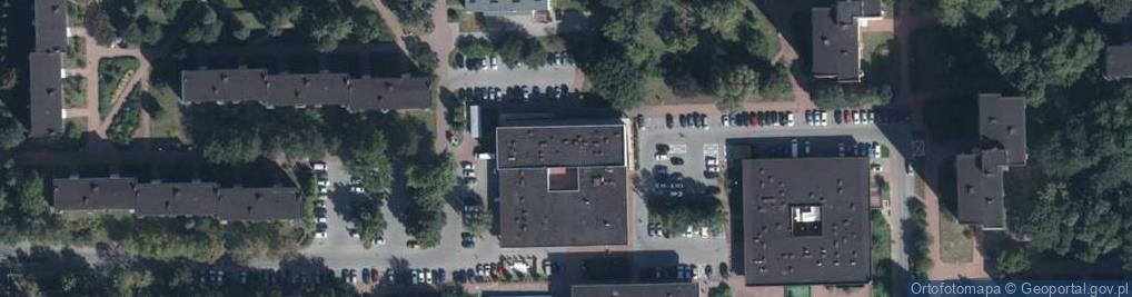 Zdjęcie satelitarne Jasminum