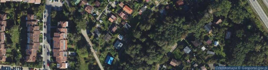 Zdjęcie satelitarne Jaza Zbigniew Sumiński