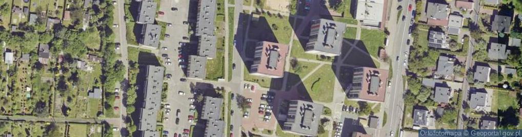 Zdjęcie satelitarne Jeleń Gajga