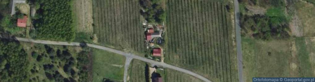 Zdjęcie satelitarne Jerzy Pasieka P.H.U.