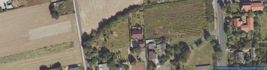 Zdjęcie satelitarne Jerzy Rachut